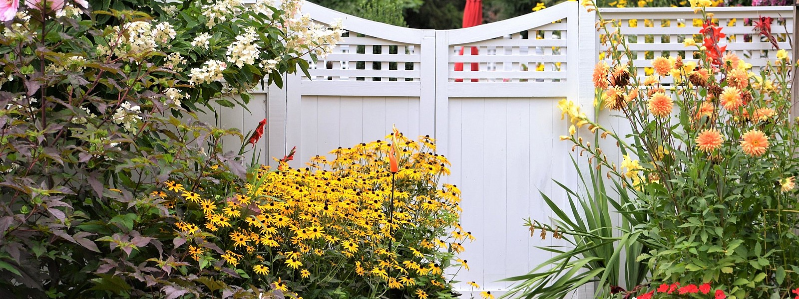Painted Trellis Topped Garden Fence by MA Fencing::