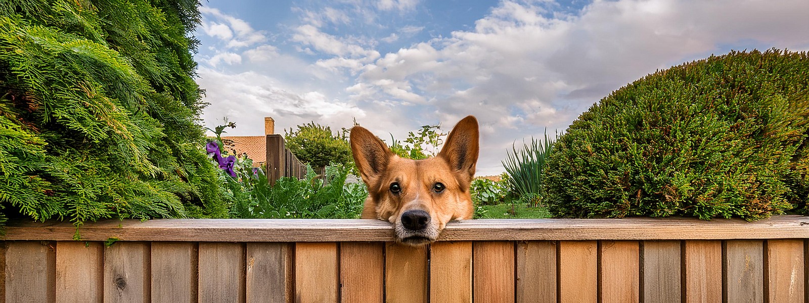 Decorative Garden Fencing Installation Services by MA Fencing::