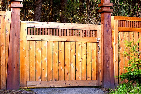 Image illustrating Garden and Driveway Gates