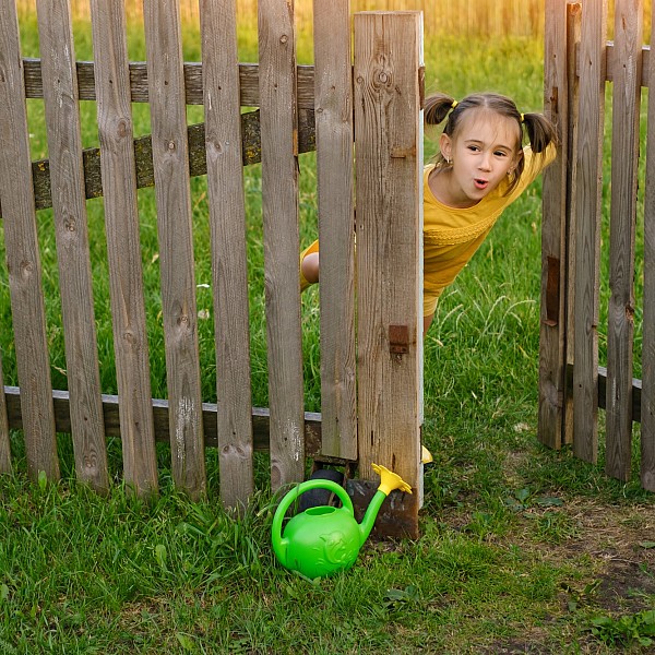 To discuss your fencing project